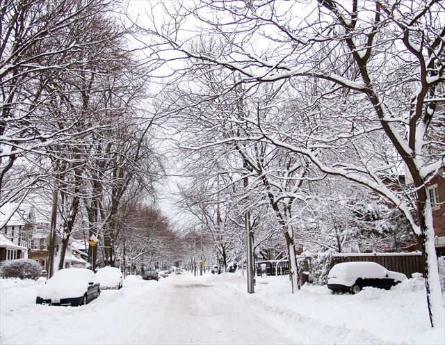 snow-landscape